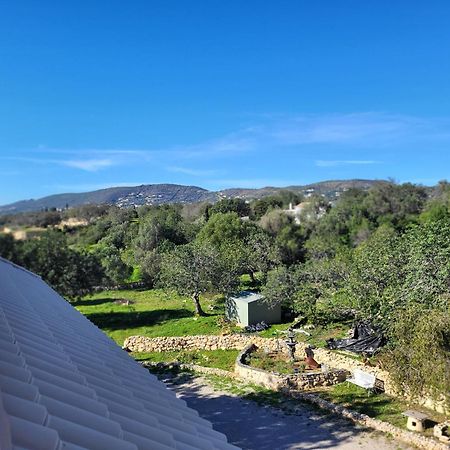 Vista Magica B&B Santa Bárbara de Nexe 외부 사진